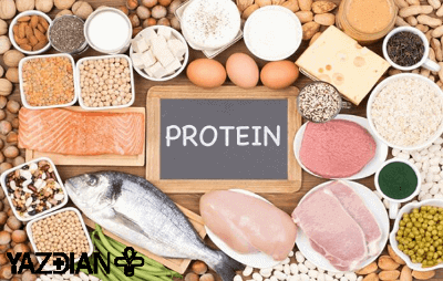 میزان پروتئین مورد نیاز بدن