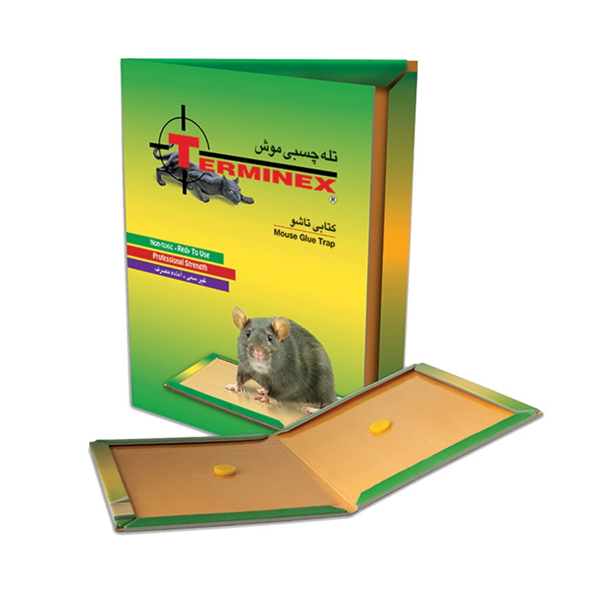 تصویر  چسب موش کتابی