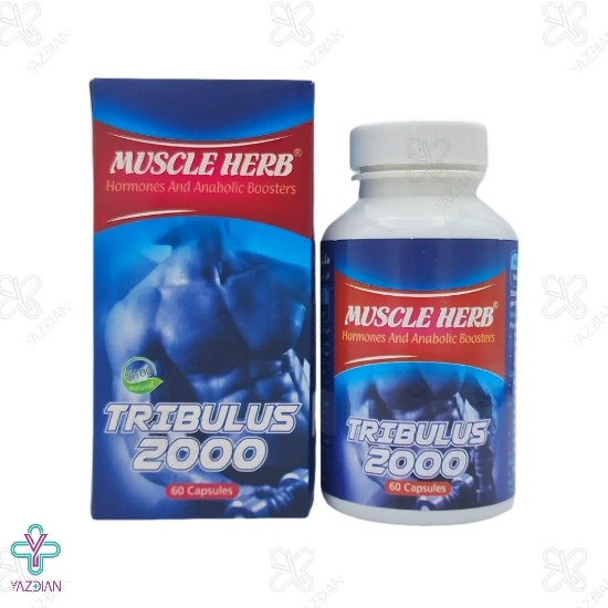 کپسول آقایان تریبولوس 2000 ماسل هرب بهتا دارو - 60 عددی