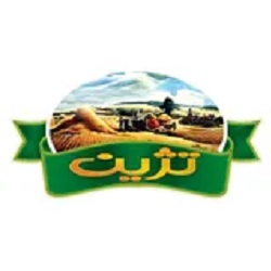 تژین (Tegin)