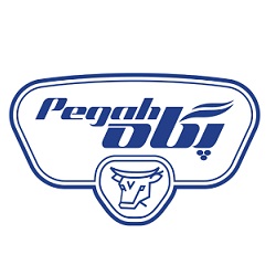 پگاه (Pegah)